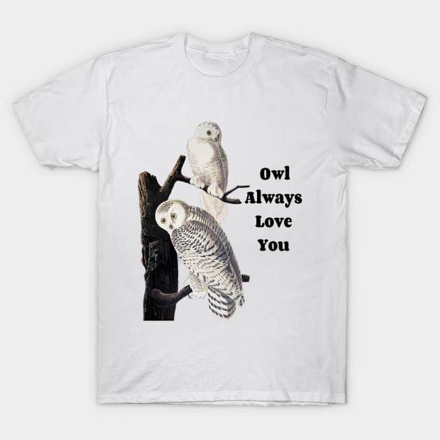 Owl Always Love Owl Design T-Shirt by Owl Is Studying